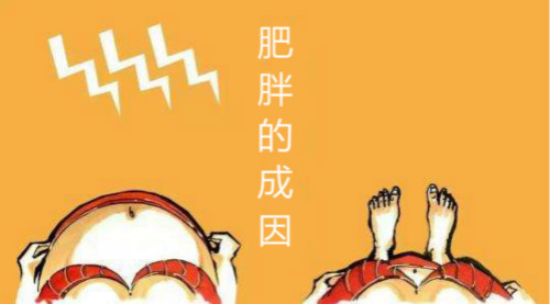 為什么我會(huì)變胖？--肥胖的成因