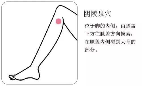 水腫、濕疹、關(guān)節(jié)酸痛...你該幫身體祛濕了！