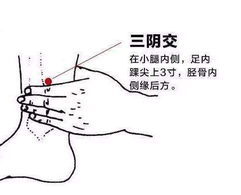 水腫、濕疹、關(guān)節(jié)酸痛...你該幫身體祛濕了！