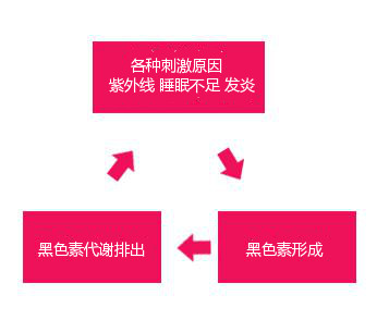 想變白？！你一定要知道的四件事