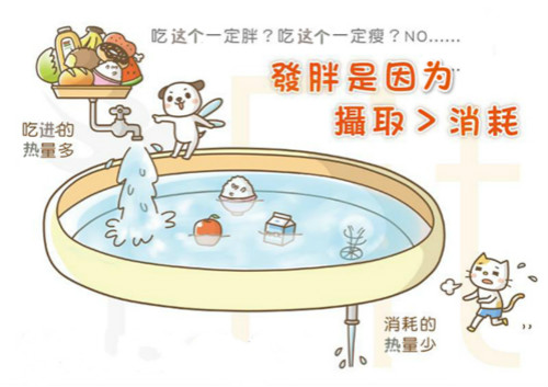 發(fā)胖是因?yàn)閿z取＞消耗